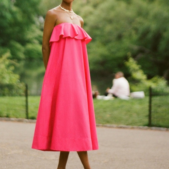 NWT Anthropologie Pink A-Line Flounce Midi Dress XS - Picture 2 of 10